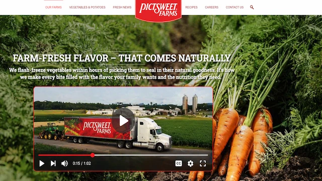 PictSweet Video Player